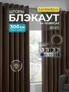венге